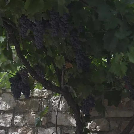 Albania-secret Village Den * Sarandë